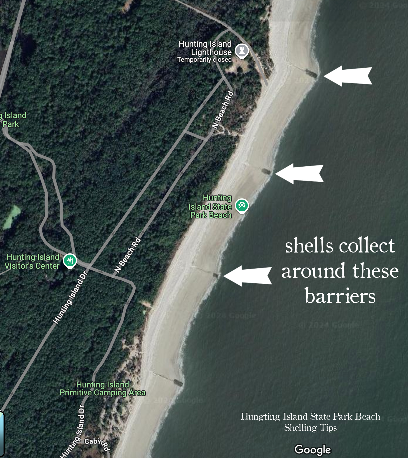 hunting island beach park shelling tips | miss mustard seed